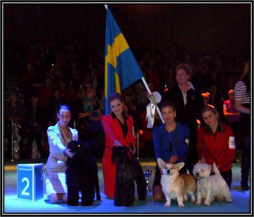 Dragongårdens Kennel